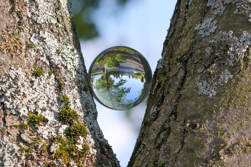 Secretive Insights